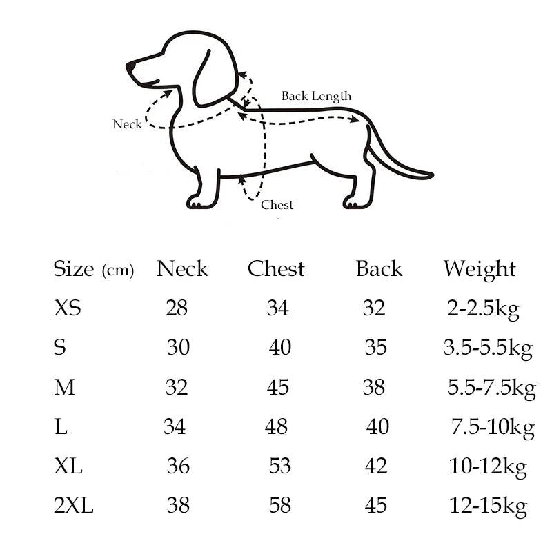 Fashion Red Dachshund Clothes