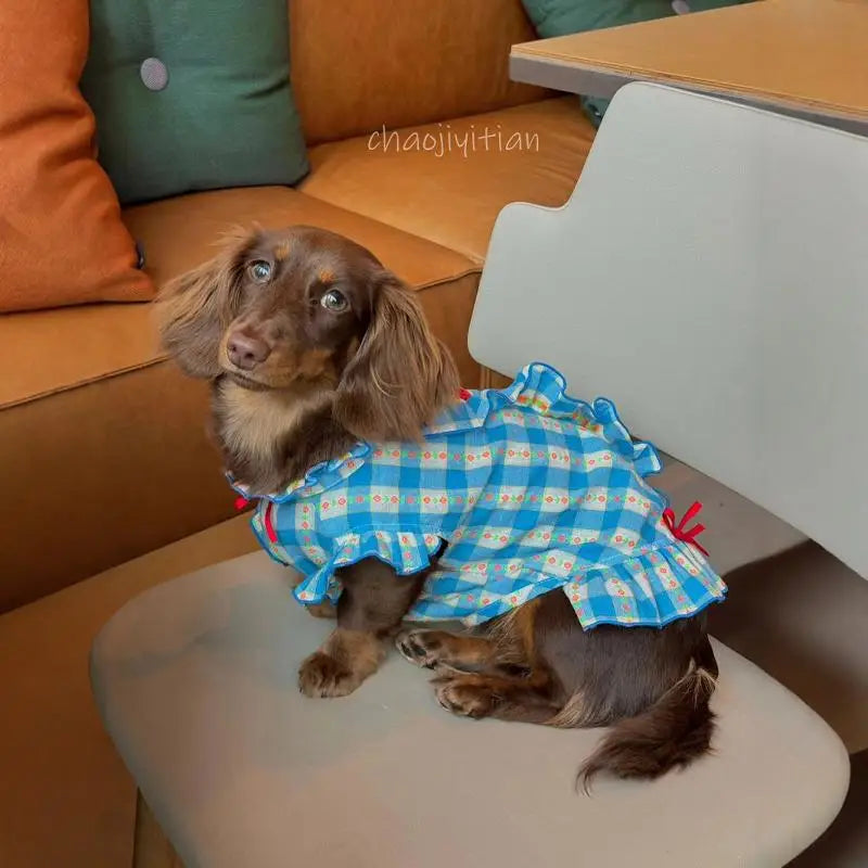 Dachshund Dogs Dress with Bowtie