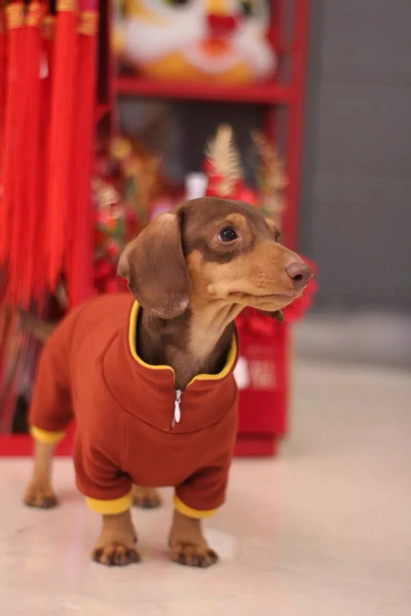 Fashion Red Dachshund Clothes
