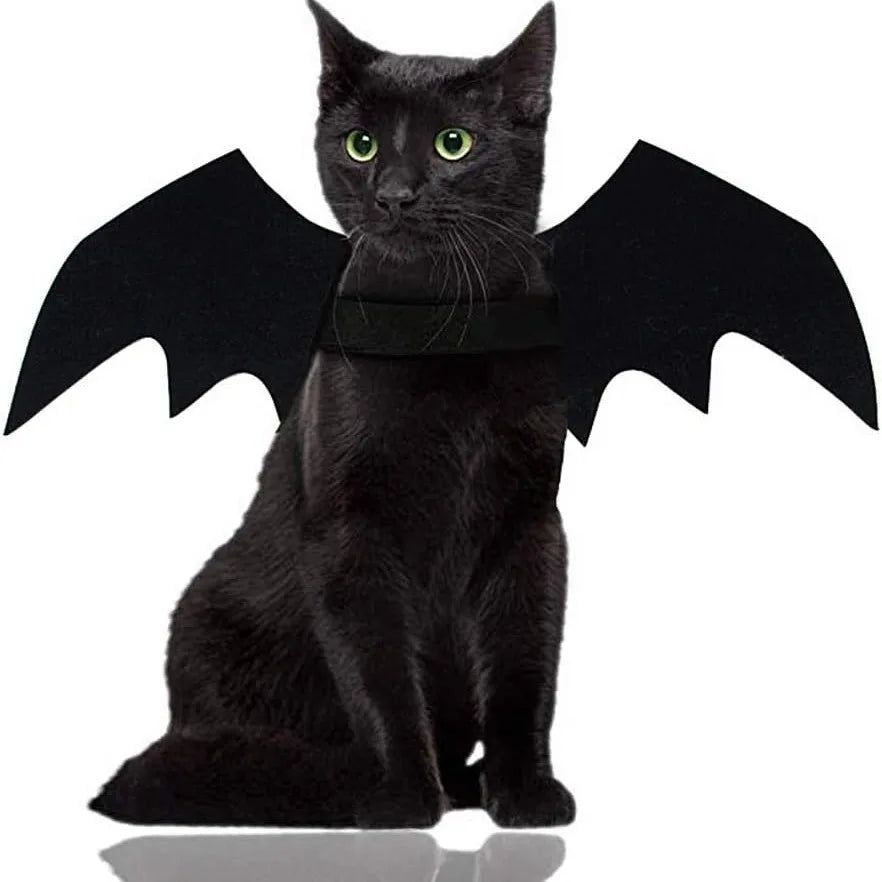 Cute Cat Bat Wings Costume