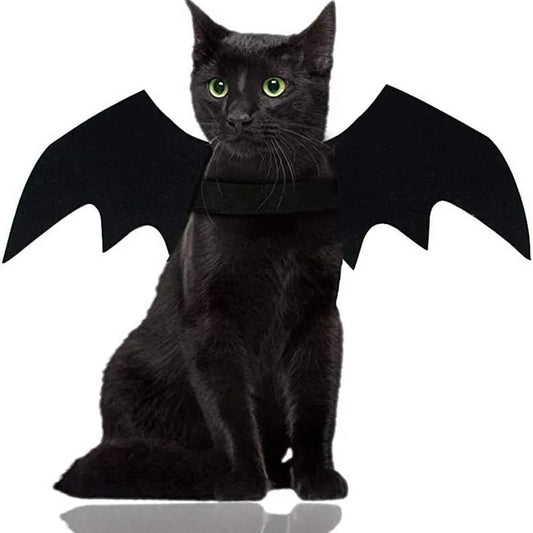 Cute Cat Bat Wings Costume