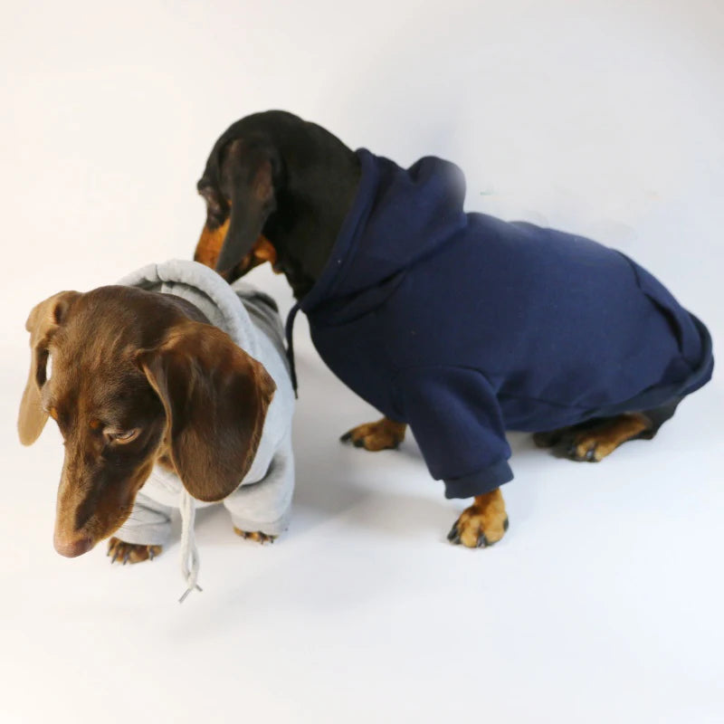 Cool Dog Hoodie
