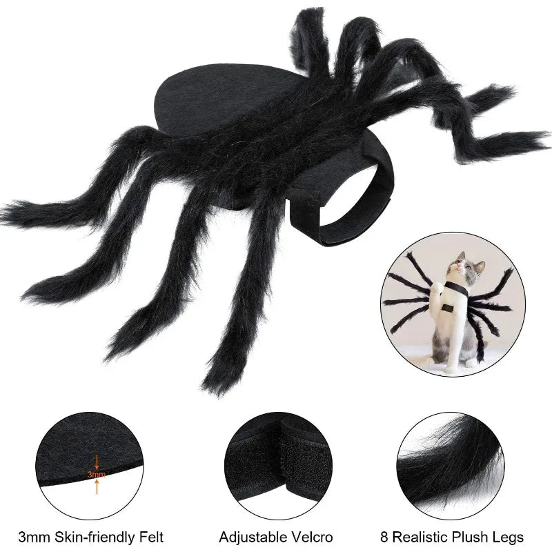 Spider  pet Costume