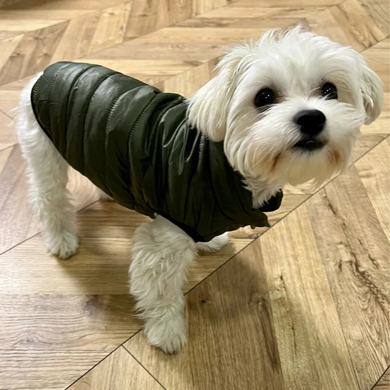 Pet Warm Winter Clothes Puppy