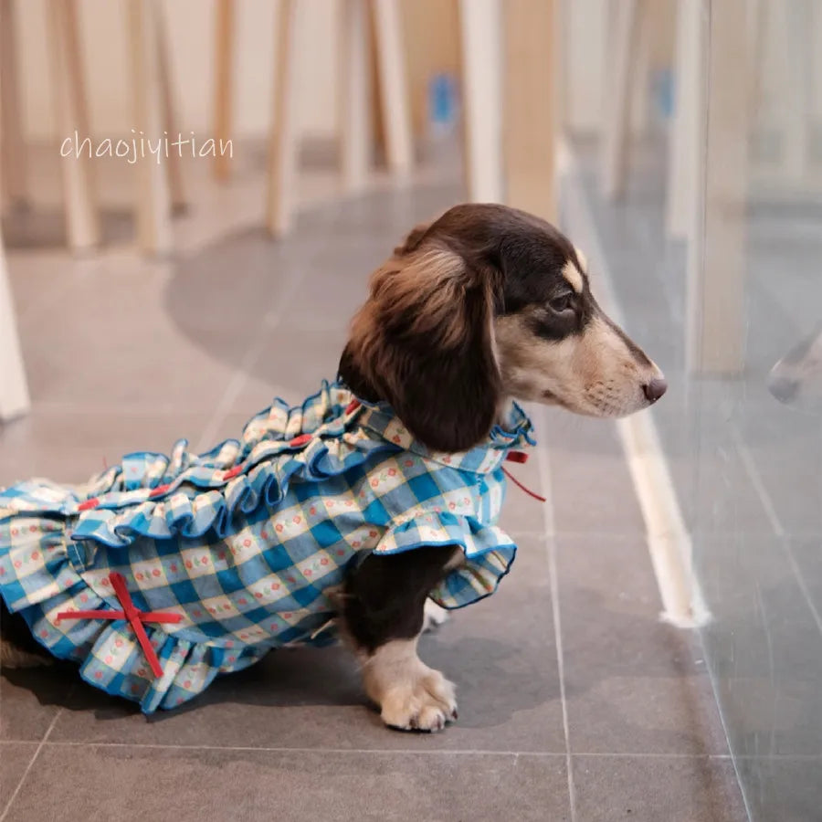 Dachshund Dogs Dress with Bowtie