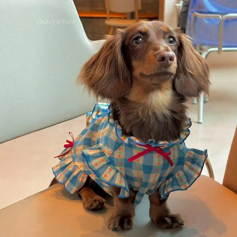 Dachshund Dogs Dress with Bowtie