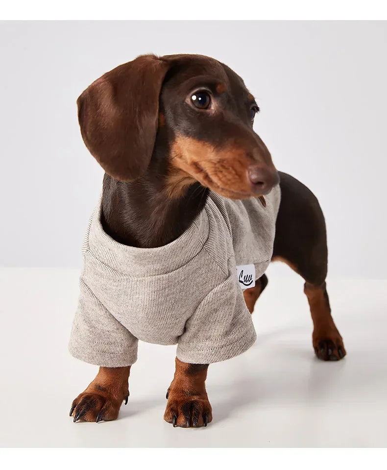 Comfortable Soft Pet