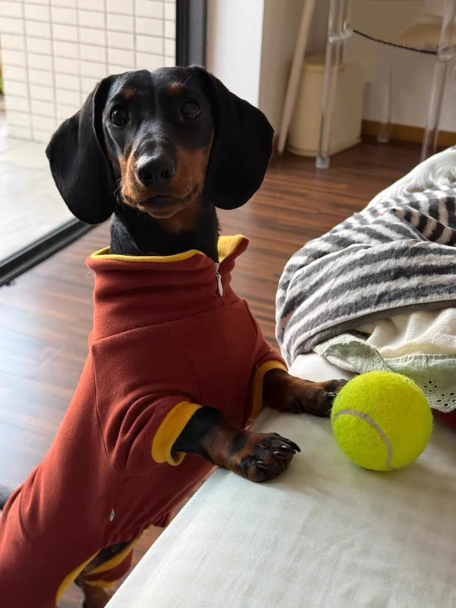 Fashion Red Dachshund Clothes