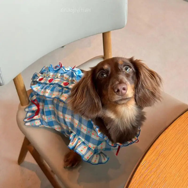 Dachshund Dogs Dress with Bowtie