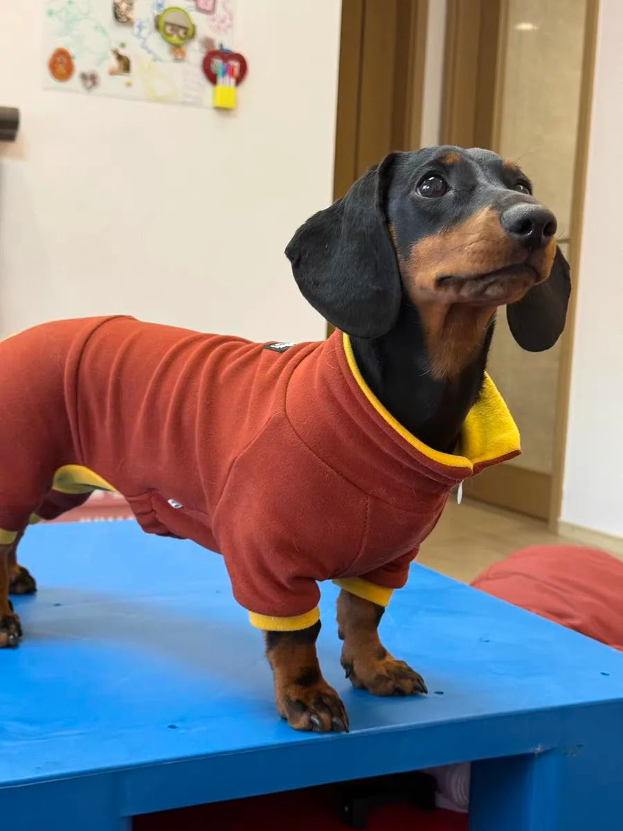 Fashion Red Dachshund Clothes