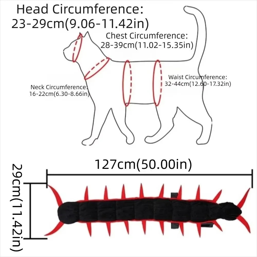 Spooky Spider Costume for Dachshunds – Halloween Dog Outfit