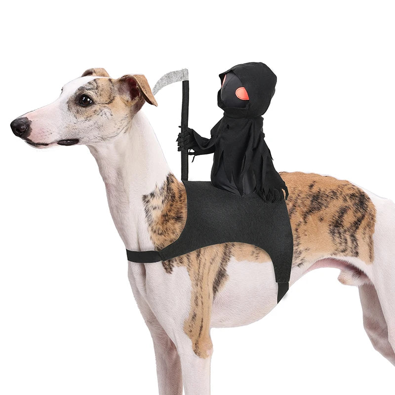 Dark Harvest Knight Pet Costume