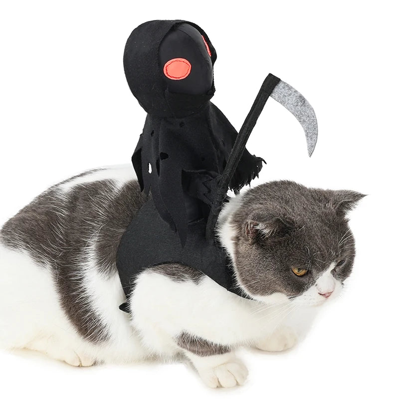Dark Harvest Knight Pet Costume