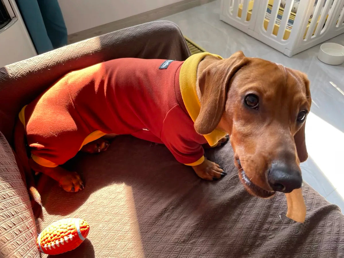 Fashion Red Dachshund Clothes