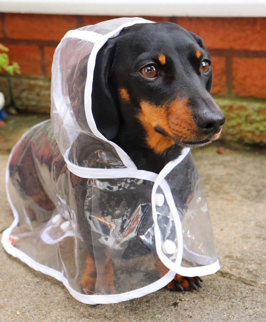 Dog Raincoat Waterproof