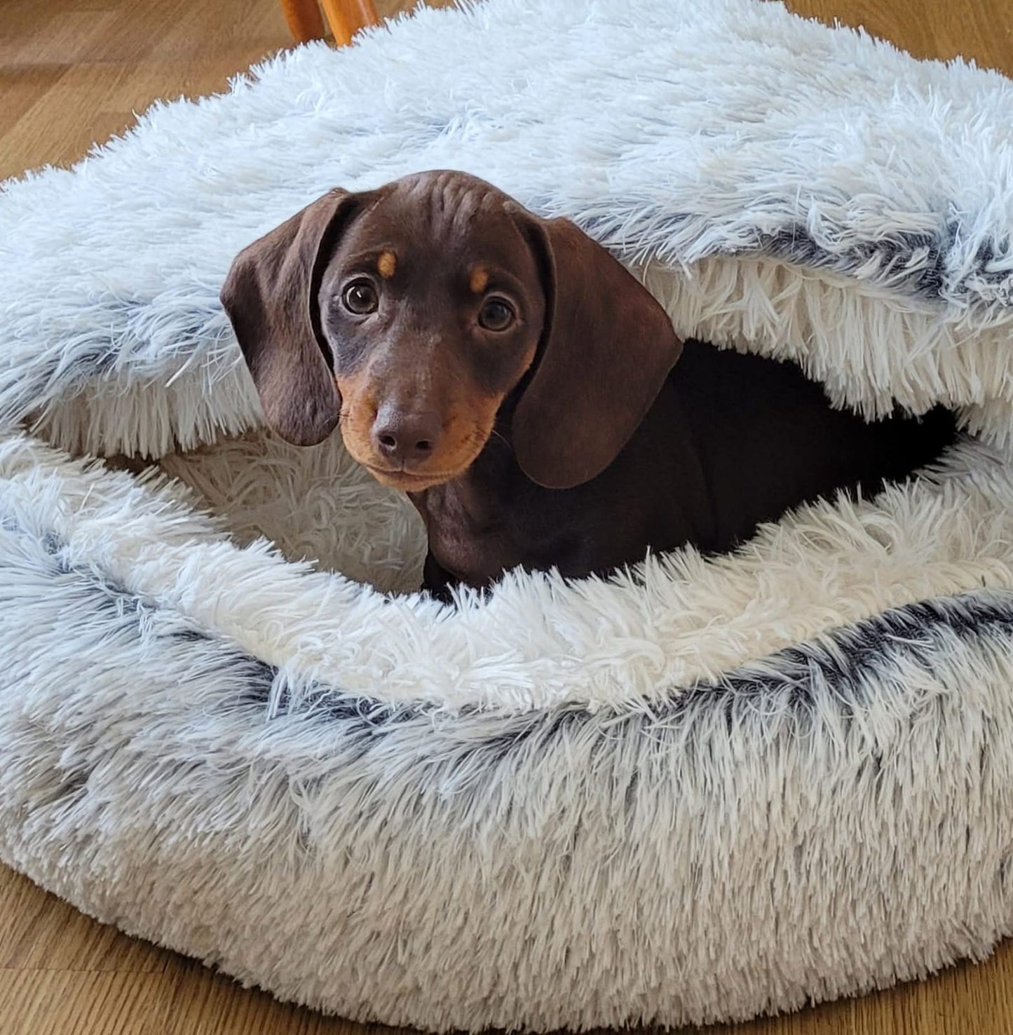 Winter Pet t Bed