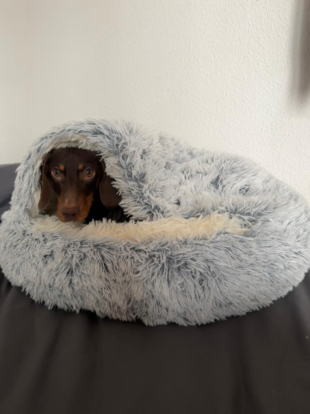 Winter Pet t Bed