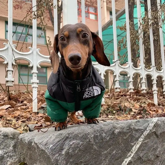 The Dog Face Puffer Jacket