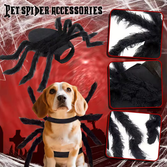 Spider  pet Costume