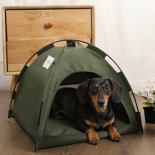 Pet Tent Bed Dachshund House
