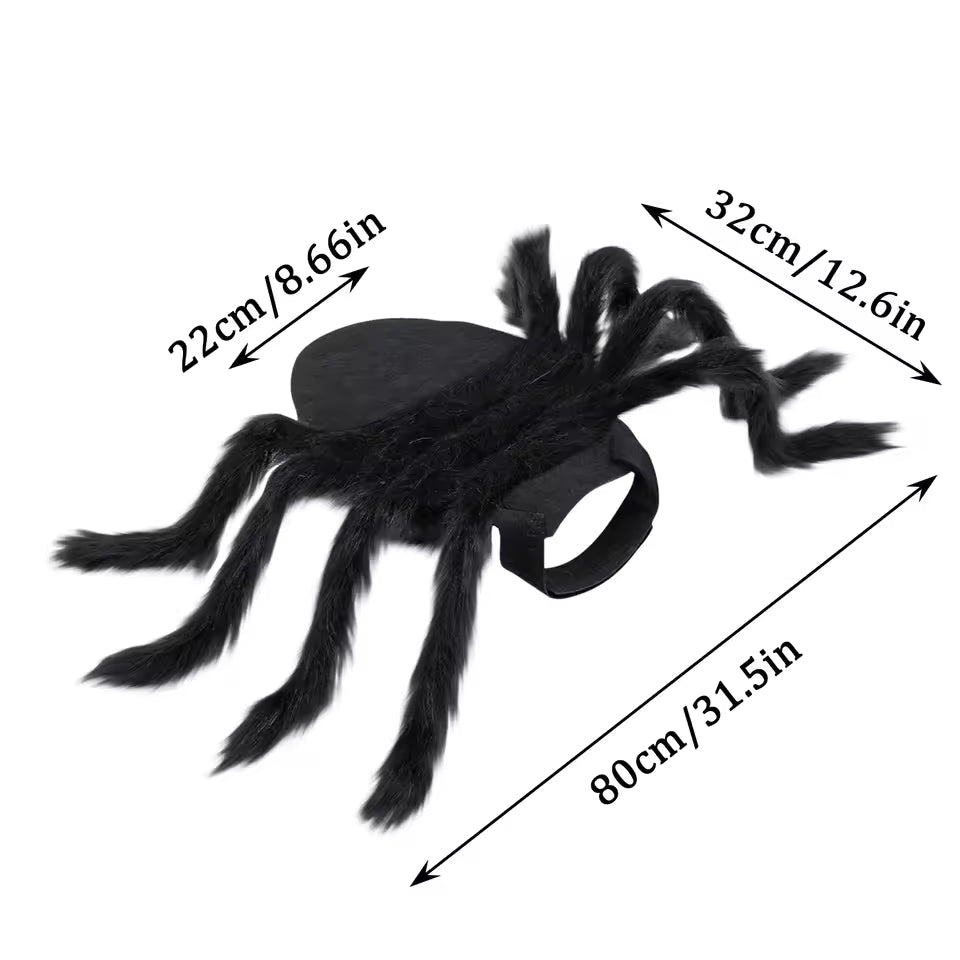 Spider  pet Costume